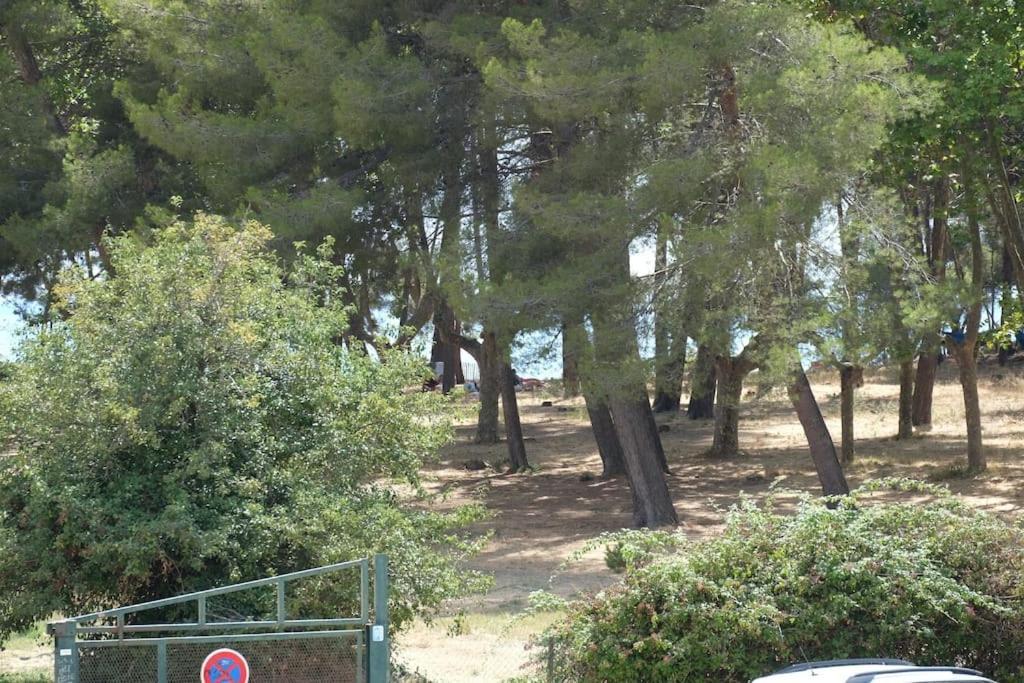 Petit Paradis Classe 3 Etoiles A 200M De La Plage! Terrasse-Wifi-Parking-Clim Saint-Mandrier-sur-Mer Exterior foto