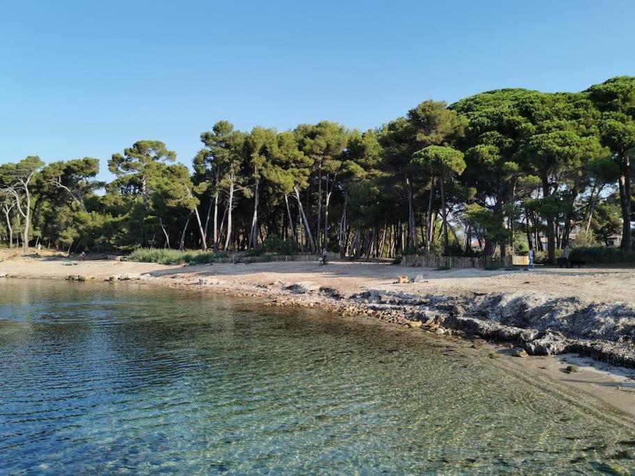 Petit Paradis Classe 3 Etoiles A 200M De La Plage! Terrasse-Wifi-Parking-Clim Saint-Mandrier-sur-Mer Exterior foto
